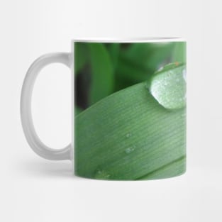 Water Droplets Mug